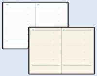 Ежедневник недатированный А5, Rich